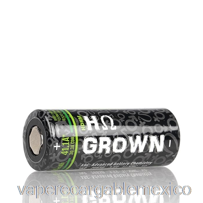 Vape Recargable Hohm Tech Grow 2 26650 4244mah 30.3a Batería Crecido [v1] - Batería única