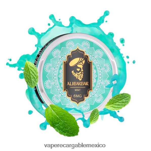 Vaper Sin Nicotina R02DZ489 Alibarbar bolsas de nicotina menta