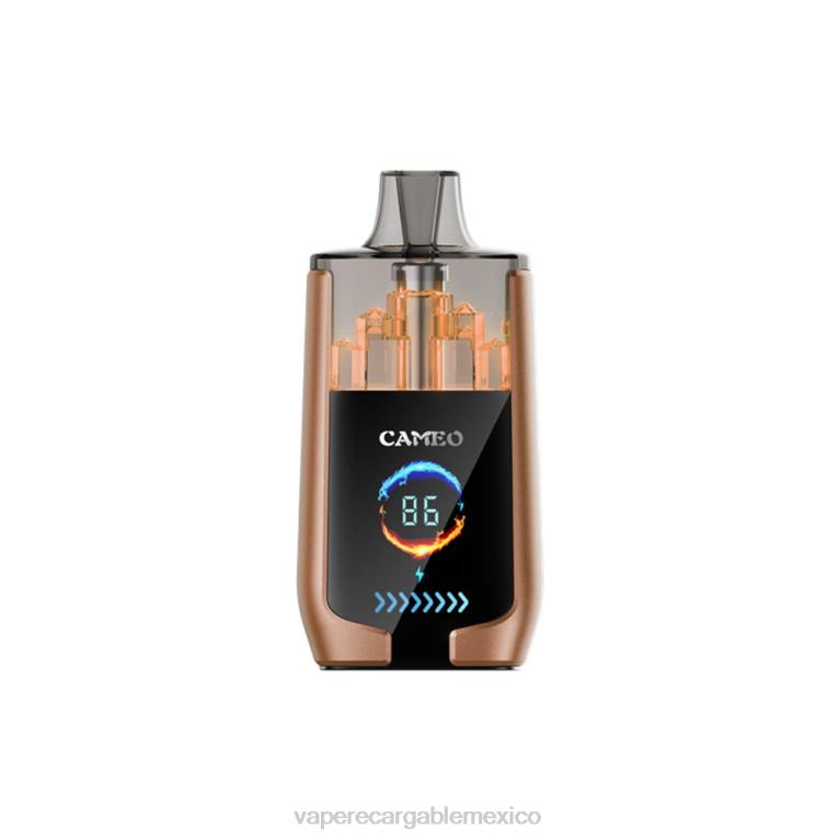 E-Liquid Mexico B6B218 LAVIE CAMEO 30000 bocanadas hielo de cafe