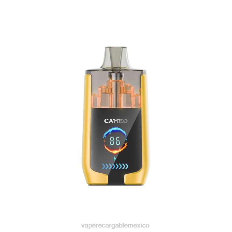 Vape México B6B221 LAVIE CAMEO 30000 bocanadas hielo de mango