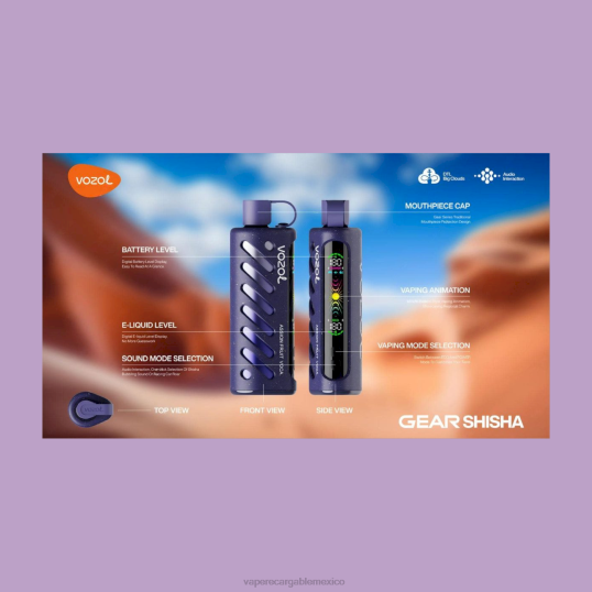 Vape Slovenija P46201 VOZOL engranaje shisha 25000