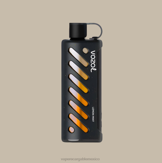 Vape Slovenija P46201 VOZOL engranaje shisha 25000
