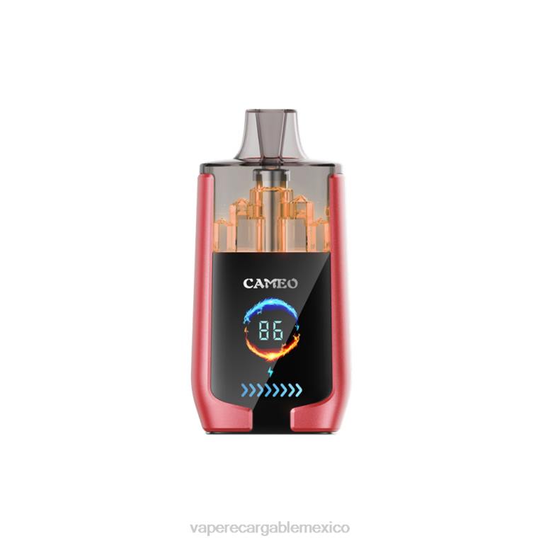 Vaper Sin Nicotina B6B214 LAVIE CAMEO 30000 bocanadas hielo de sandia