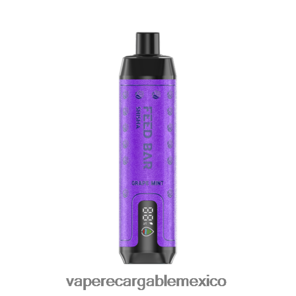 E-Liquid Mexico R02DZ4118 Vapsolo SHISHA vaporizador desechable menta de uva