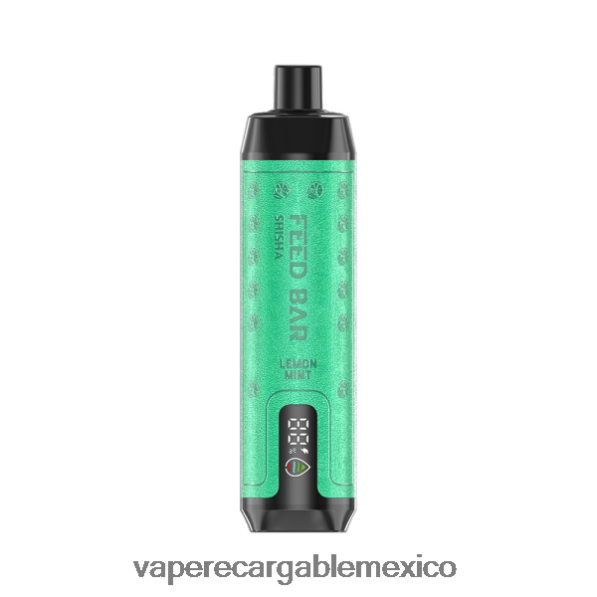 Vaper Sin Nicotina R02DZ4119 Vapsolo SHISHA vaporizador desechable menta limon
